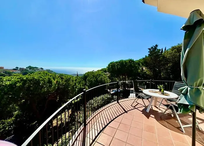 V&v Lloret - Mirasola *